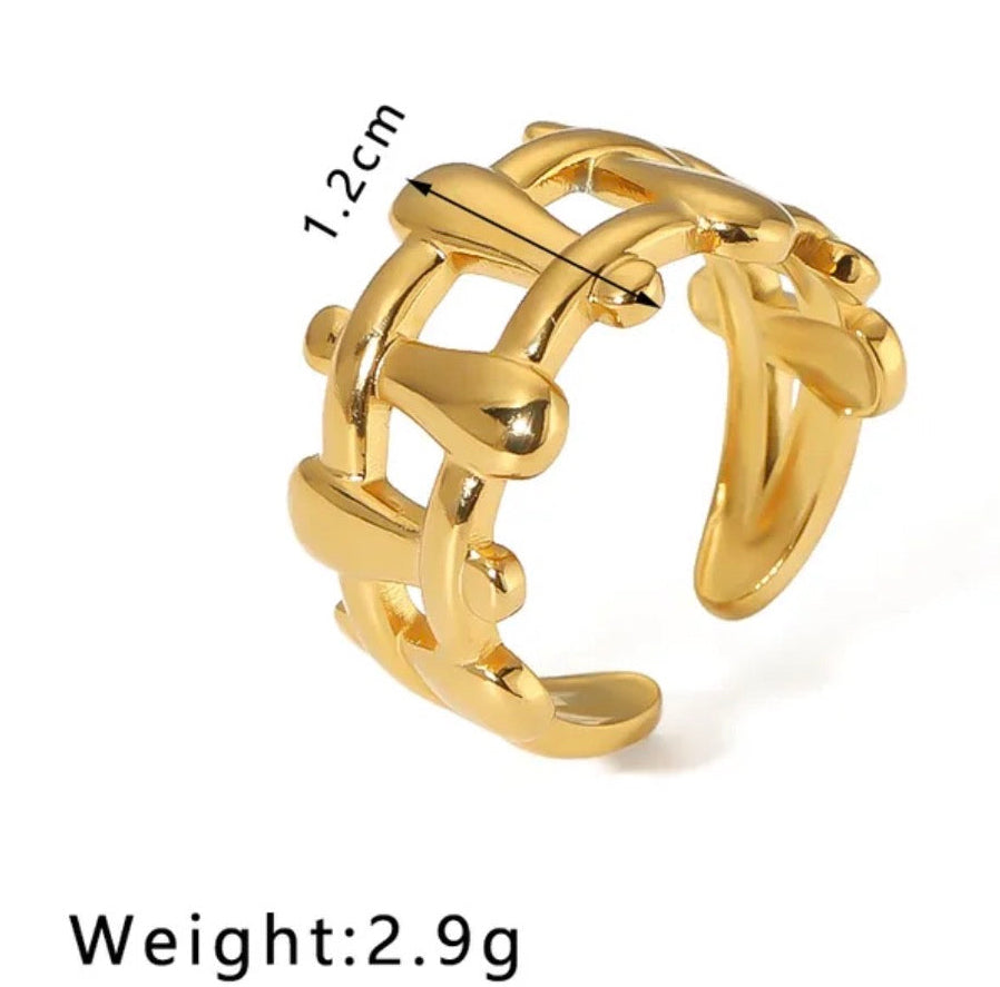 Adustable ring NIR 1