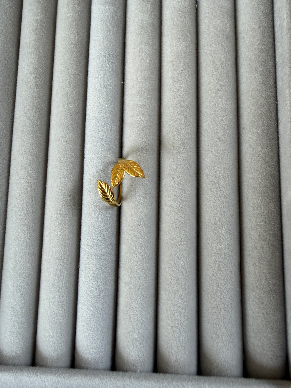 Adjustable ring NIR 15