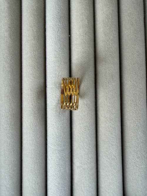 Adjustable ring NIR 14