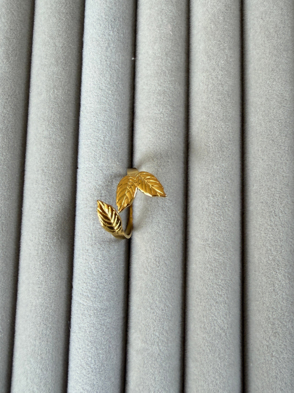 Adjustable ring NIR 13