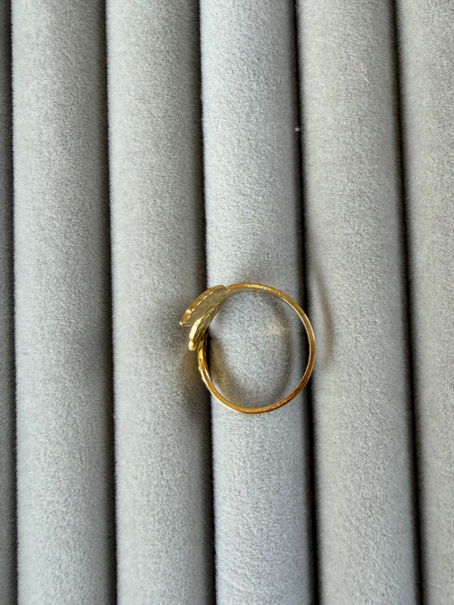 Adjustable ring NIR 13